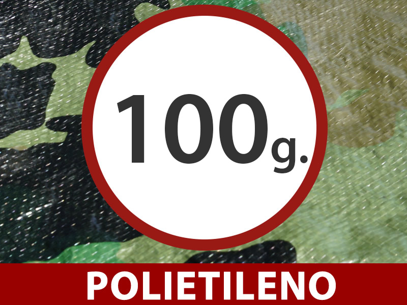 Características y detalles - Imagen 2