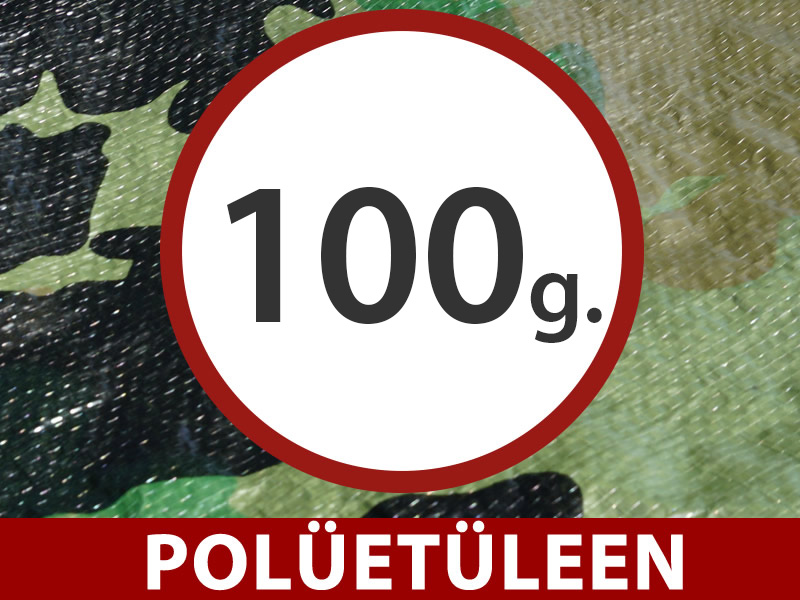 Omadused ja üksikasjad - Pilt 2