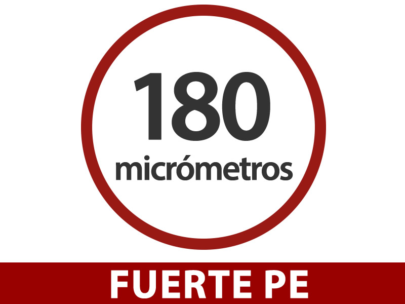 Características y detalles - Imagen 2