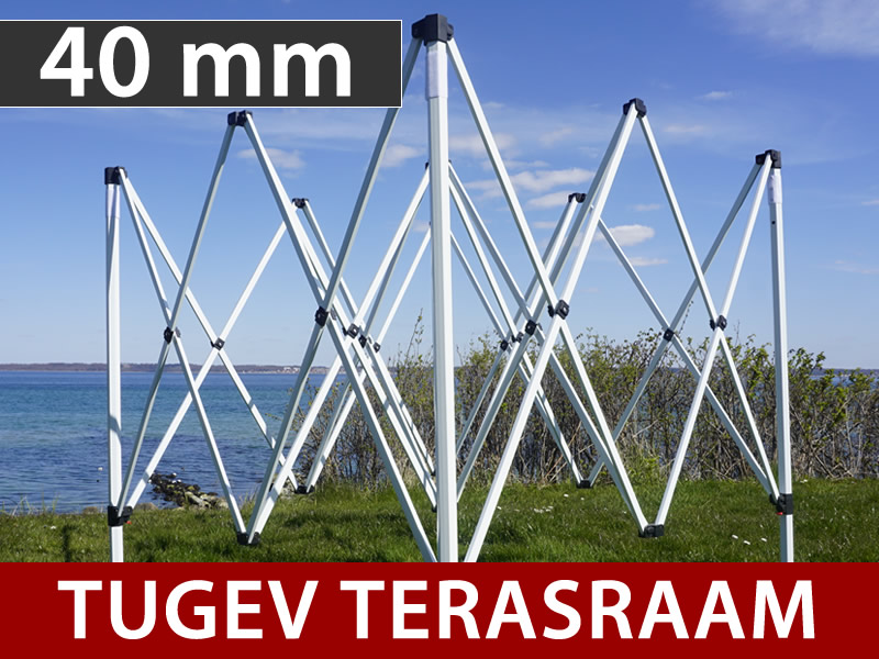 Omadused ja üksikasjad - Pilt 1