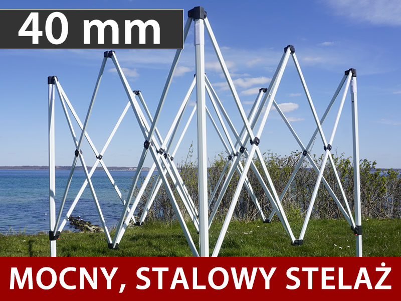 Cechy i szczegóły - Obraz 1