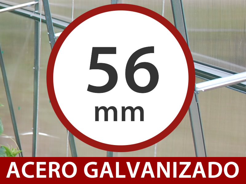 Características y detalles - Imagen 3