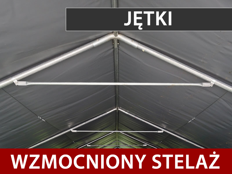 Cechy i szczegóły - Obraz 3