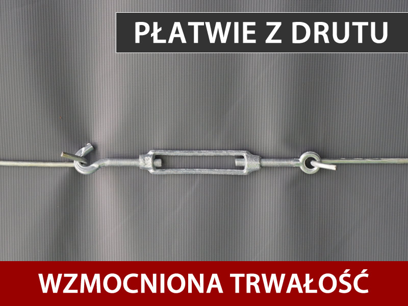 Cechy i szczegóły - Obraz 1