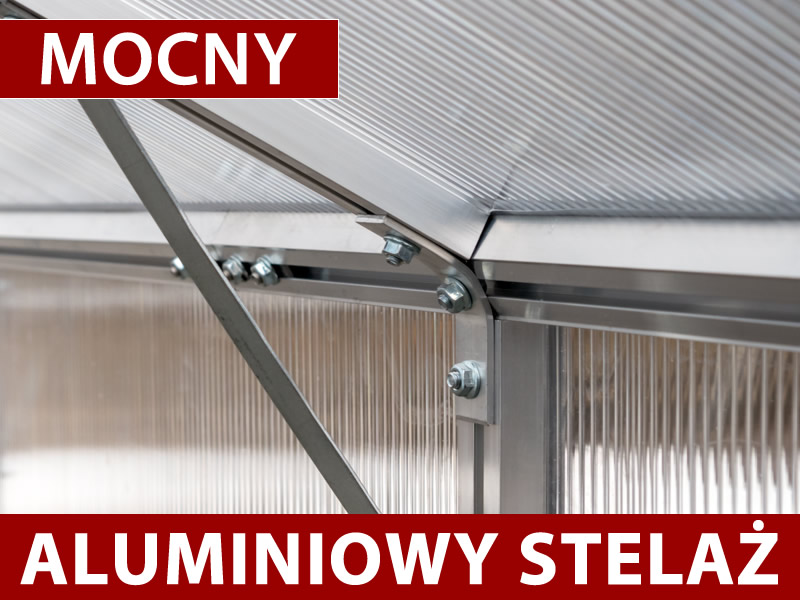 Cechy i szczegóły - Obraz 1