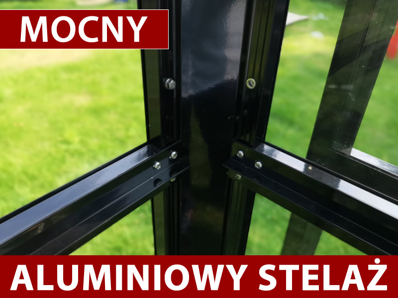 Cechy i szczegóły - Obraz 1