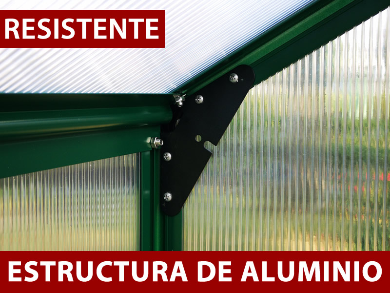 Características y detalles - Imagen 1