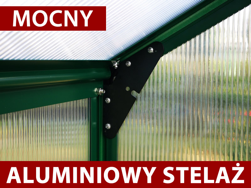 Cechy i szczegóły - Obraz 1