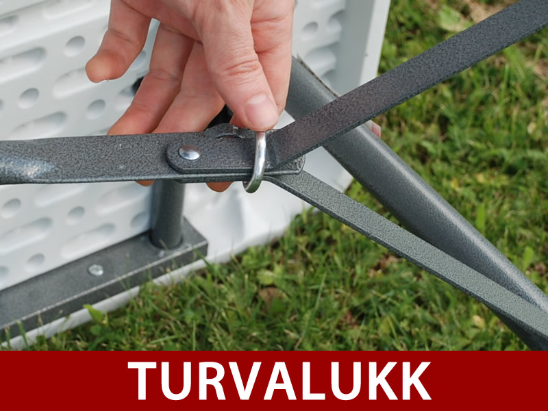 Omadused ja üksikasjad - Pilt 1