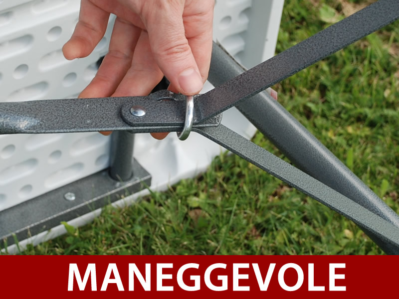 Caratteristiche e dettagli - Immagine 1