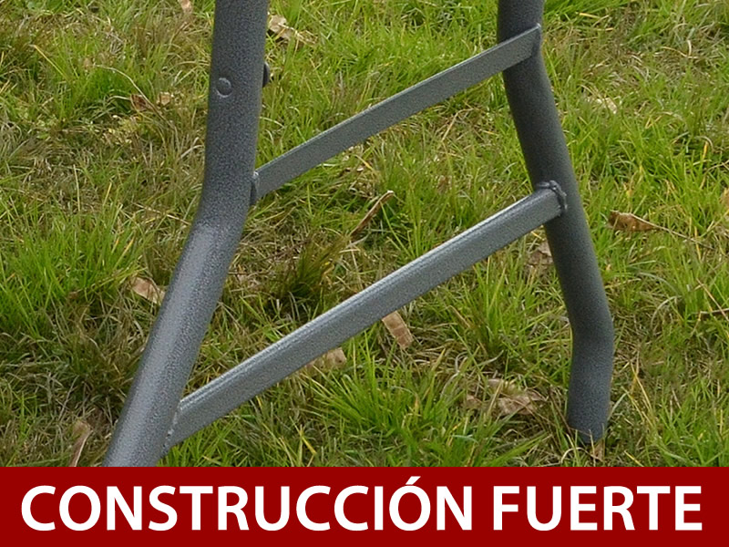 Características y detalles - Imagen 2