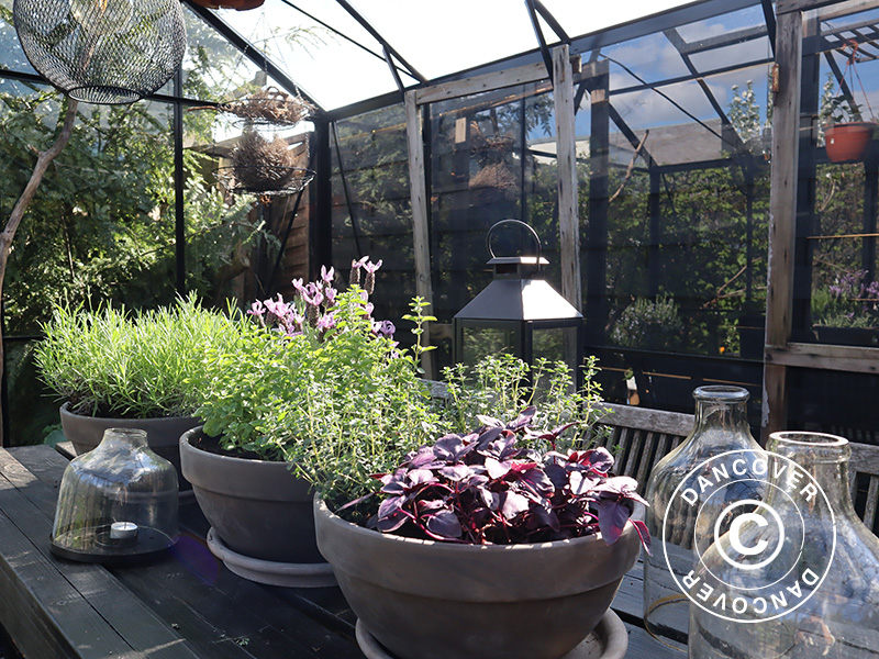 Inspiration - Image 2