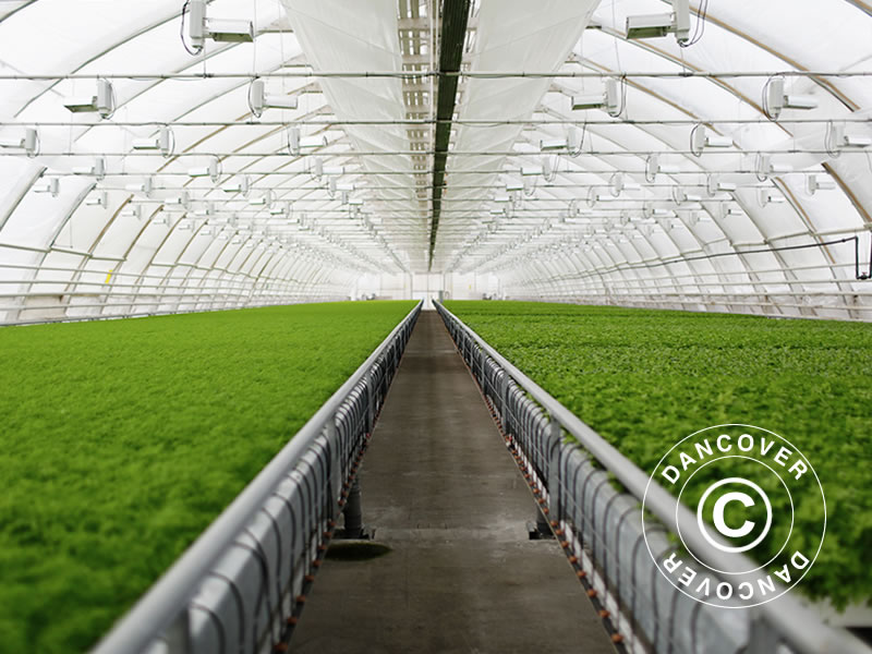 Inspiration – Bild 1