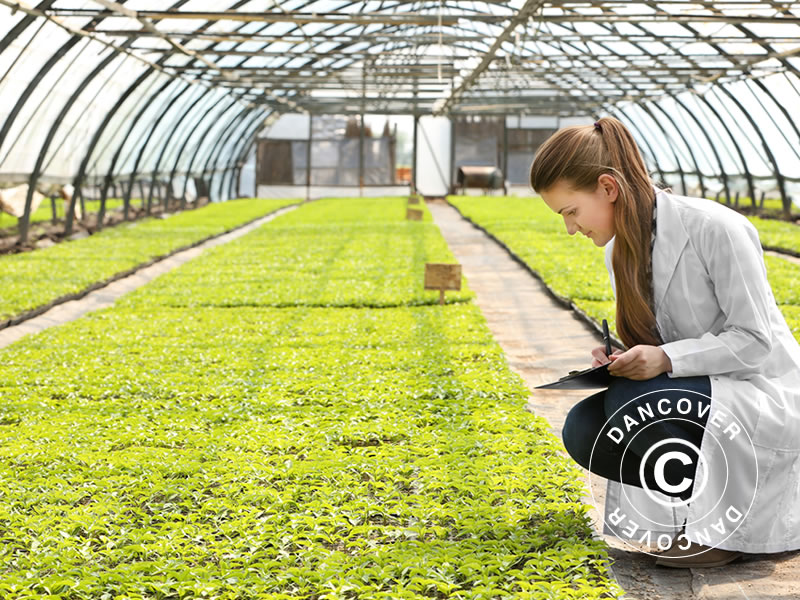 Inspiration – Bild 2