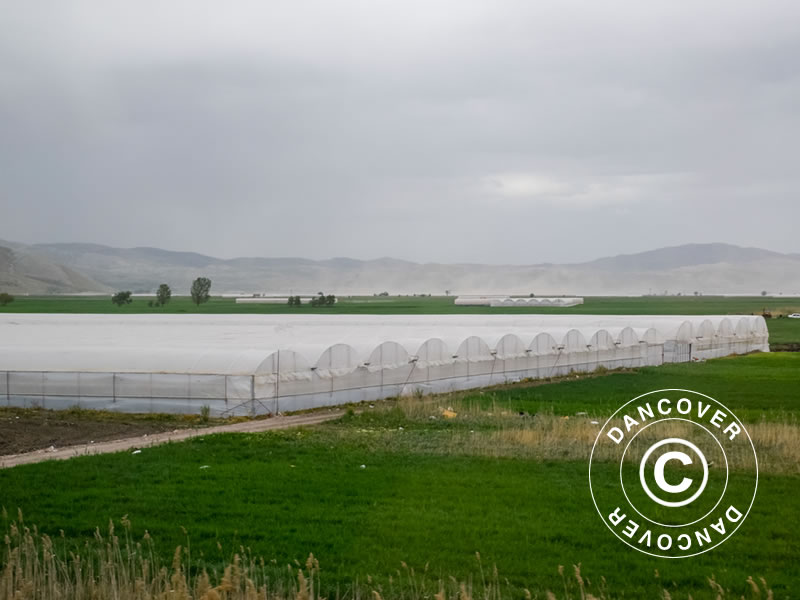 Inspiration – Bild 3